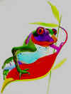 Artsy Frog white background.jpg (134606 bytes)