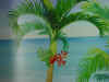 RM 10 detail of left palm tree.jpg (459005 bytes)